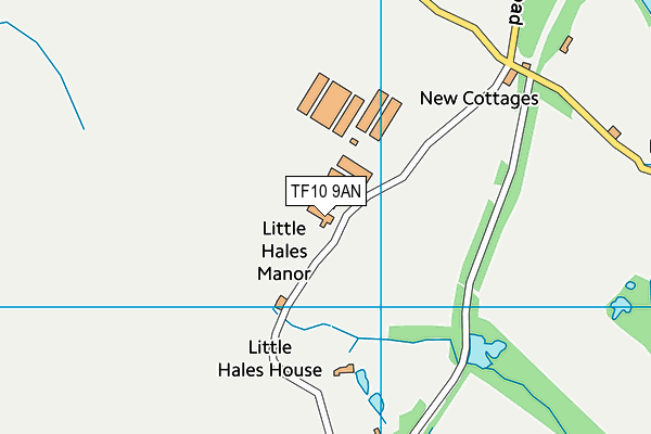 TF10 9AN map - OS VectorMap District (Ordnance Survey) TF10 9AN map - OS VectorMap District (Ordnance Survey)