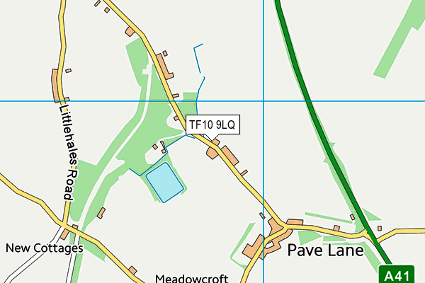TF10 9LQ map - OS VectorMap District (Ordnance Survey) TF10 9LQ map - OS VectorMap District (Ordnance Survey)