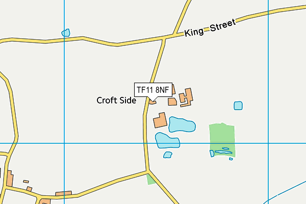 TF11 8NF map - OS VectorMap District (Ordnance Survey) TF11 8NF map - OS VectorMap District (Ordnance Survey)