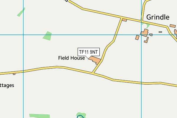 TF11 9NT map - OS VectorMap District (Ordnance Survey) TF11 9NT map - OS VectorMap District (Ordnance Survey)