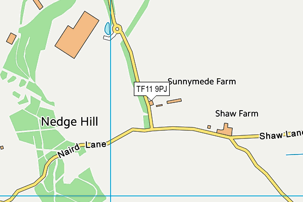 TF11 9PJ map - OS VectorMap District (Ordnance Survey) TF11 9PJ map - OS VectorMap District (Ordnance Survey)