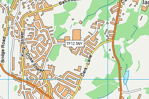 TF12 5NY map - OS VectorMap District (Ordnance Survey) TF12 5NY map - OS VectorMap District (Ordnance Survey)