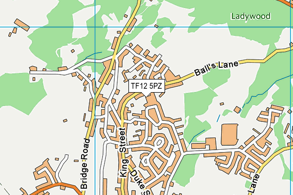 TF12 5PZ map - OS VectorMap District (Ordnance Survey) TF12 5PZ map - OS VectorMap District (Ordnance Survey)