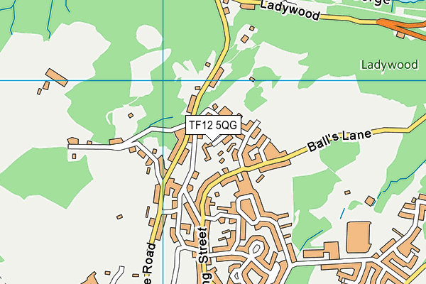 TF12 5QG map - OS VectorMap District (Ordnance Survey) TF12 5QG map - OS VectorMap District (Ordnance Survey)