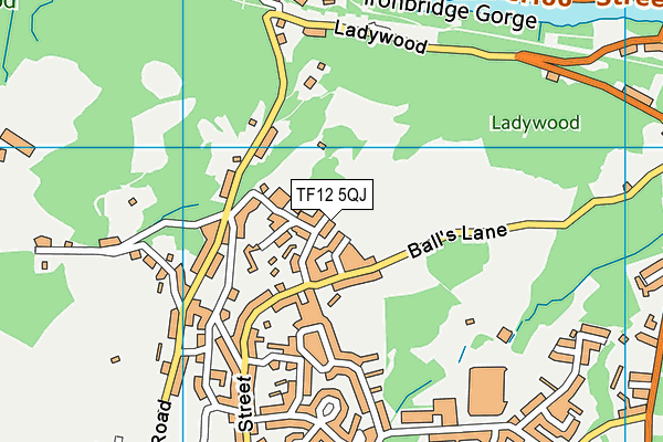 TF12 5QJ map - OS VectorMap District (Ordnance Survey) TF12 5QJ map - OS VectorMap District (Ordnance Survey)