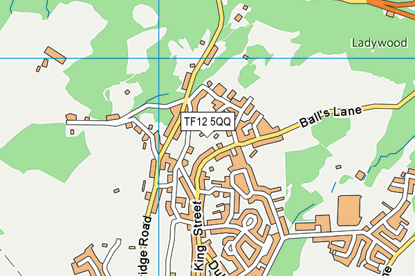 TF12 5QQ map - OS VectorMap District (Ordnance Survey) TF12 5QQ map - OS VectorMap District (Ordnance Survey)