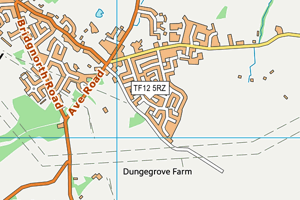 TF12 5RZ map - OS VectorMap District (Ordnance Survey) TF12 5RZ map - OS VectorMap District (Ordnance Survey)