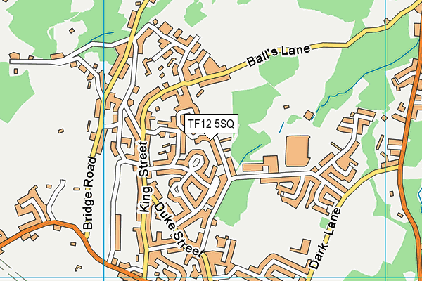 TF12 5SQ map - OS VectorMap District (Ordnance Survey) TF12 5SQ map - OS VectorMap District (Ordnance Survey)