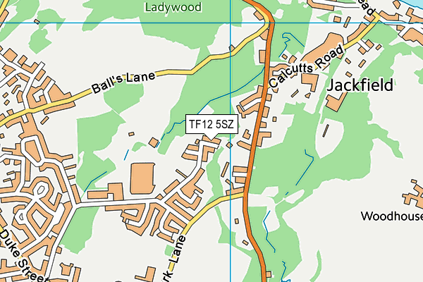 TF12 5SZ map - OS VectorMap District (Ordnance Survey) TF12 5SZ map - OS VectorMap District (Ordnance Survey)