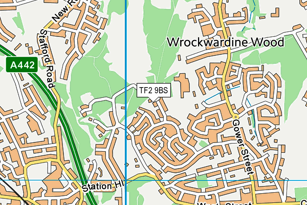 TF2 9BS map - OS VectorMap District (Ordnance Survey) TF2 9BS map - OS VectorMap District (Ordnance Survey)