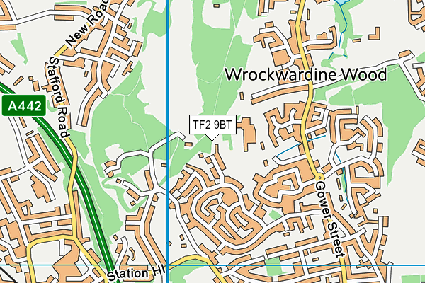 TF2 9BT map - OS VectorMap District (Ordnance Survey) TF2 9BT map - OS VectorMap District (Ordnance Survey)