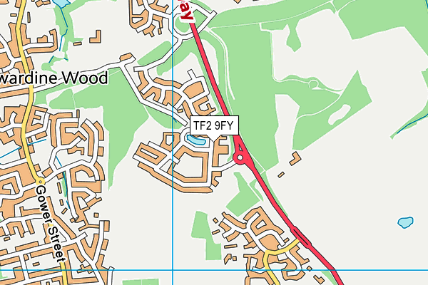 TF2 9FY map - OS VectorMap District (Ordnance Survey) TF2 9FY map - OS VectorMap District (Ordnance Survey)