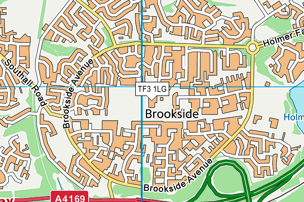 TF3 1LG map - OS VectorMap District (Ordnance Survey) TF3 1LG map - OS VectorMap District (Ordnance Survey)