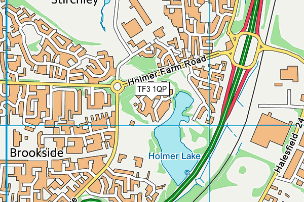 TF3 1QP map - OS VectorMap District (Ordnance Survey) TF3 1QP map - OS VectorMap District (Ordnance Survey)