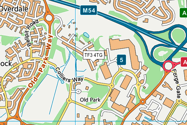 TF3 4TG map - OS VectorMap District (Ordnance Survey) TF3 4TG map - OS VectorMap District (Ordnance Survey)