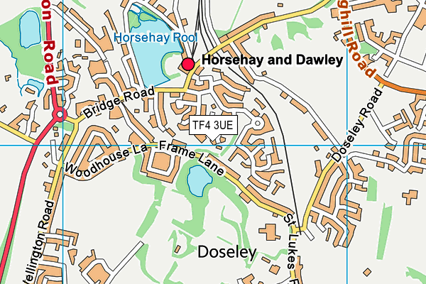 TF4 3UE map - OS VectorMap District (Ordnance Survey) TF4 3UE map - OS VectorMap District (Ordnance Survey)