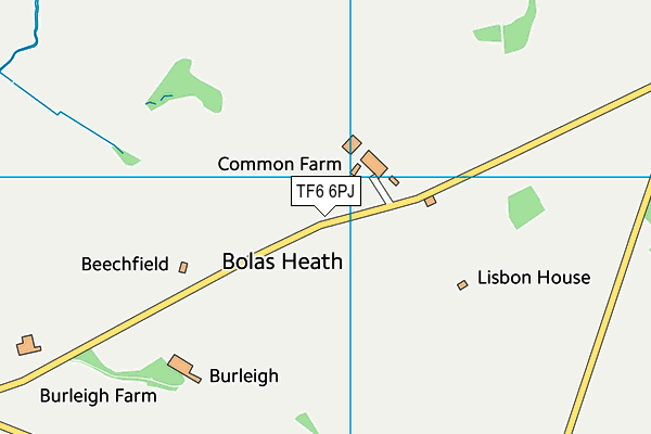 TF6 6PJ map - OS VectorMap District (Ordnance Survey) TF6 6PJ map - OS VectorMap District (Ordnance Survey)