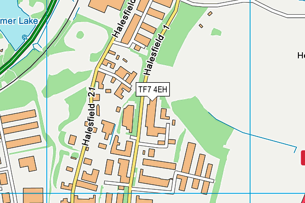 TF7 4EH map - OS VectorMap District (Ordnance Survey) TF7 4EH map - OS VectorMap District (Ordnance Survey)