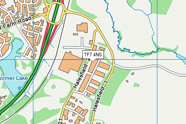 TF7 4NS map - OS VectorMap District (Ordnance Survey) TF7 4NS map - OS VectorMap District (Ordnance Survey)
