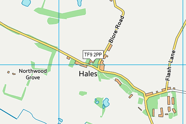 TF9 2PP map - OS VectorMap District (Ordnance Survey) TF9 2PP map - OS VectorMap District (Ordnance Survey)