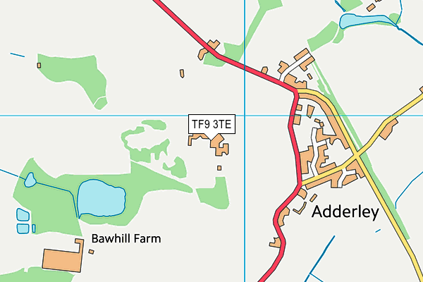 TF9 3TE map - OS VectorMap District (Ordnance Survey) TF9 3TE map - OS VectorMap District (Ordnance Survey)