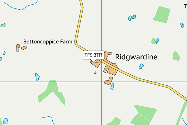 TF9 3TR map - OS VectorMap District (Ordnance Survey) TF9 3TR map - OS VectorMap District (Ordnance Survey)