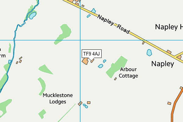 TF9 4AJ map - OS VectorMap District (Ordnance Survey) TF9 4AJ map - OS VectorMap District (Ordnance Survey)