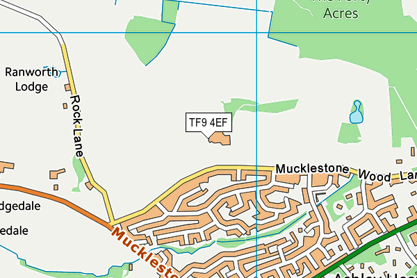 TF9 4EF map - OS VectorMap District (Ordnance Survey) TF9 4EF map - OS VectorMap District (Ordnance Survey)