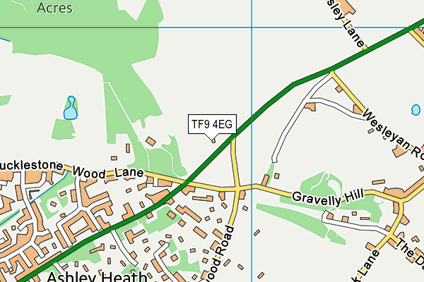 TF9 4EG map - OS VectorMap District (Ordnance Survey) TF9 4EG map - OS VectorMap District (Ordnance Survey)