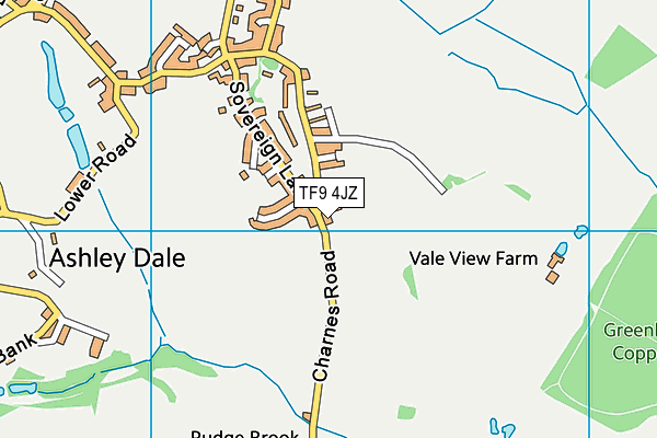 TF9 4JZ map - OS VectorMap District (Ordnance Survey) TF9 4JZ map - OS VectorMap District (Ordnance Survey)