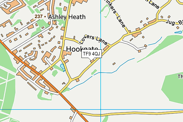 TF9 4QJ map - OS VectorMap District (Ordnance Survey) TF9 4QJ map - OS VectorMap District (Ordnance Survey)