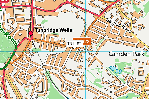 TN1 1ST map - OS VectorMap District (Ordnance Survey) TN1 1ST map - OS VectorMap District (Ordnance Survey)