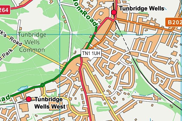 TN1 1UH map - OS VectorMap District (Ordnance Survey) TN1 1UH map - OS VectorMap District (Ordnance Survey)