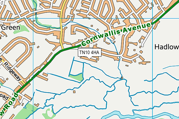 TN10 4HA map - OS VectorMap District (Ordnance Survey) TN10 4HA map - OS VectorMap District (Ordnance Survey)