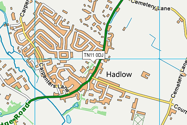 TN11 0DJ map - OS VectorMap District (Ordnance Survey)