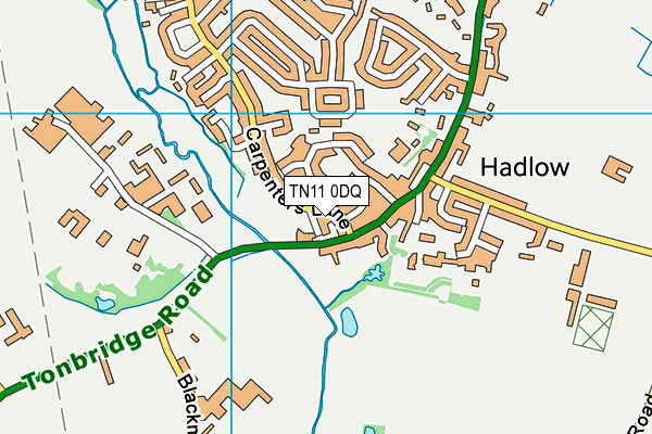 TN11 0DQ map - OS VectorMap District (Ordnance Survey) TN11 0DQ map - OS VectorMap District (Ordnance Survey)
