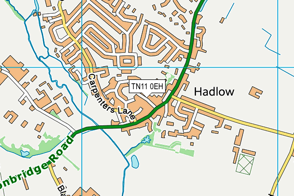 TN11 0EH map - OS VectorMap District (Ordnance Survey)
