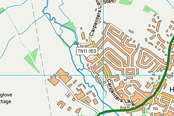 TN11 0ES map - OS VectorMap District (Ordnance Survey) TN11 0ES map - OS VectorMap District (Ordnance Survey)