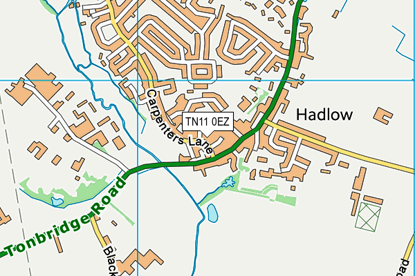 TN11 0EZ map - OS VectorMap District (Ordnance Survey)