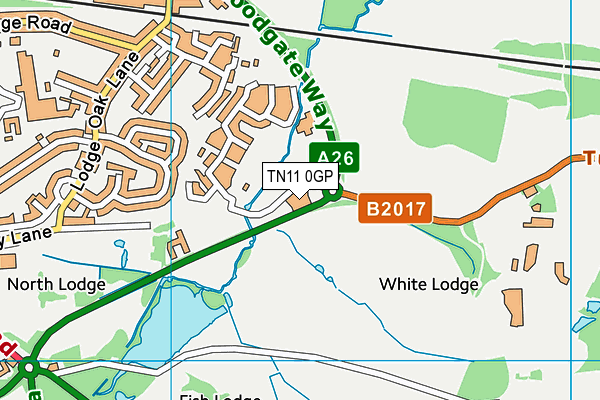 TN11 0GP map - OS VectorMap District (Ordnance Survey) TN11 0GP map - OS VectorMap District (Ordnance Survey)