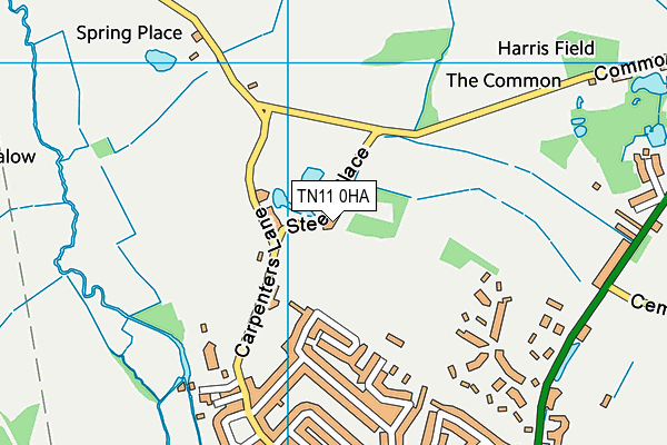 TN11 0HA map - OS VectorMap District (Ordnance Survey) TN11 0HA map - OS VectorMap District (Ordnance Survey)