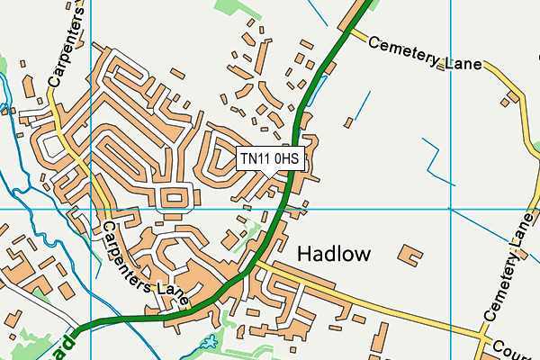 TN11 0HS map - OS VectorMap District (Ordnance Survey) TN11 0HS map - OS VectorMap District (Ordnance Survey)