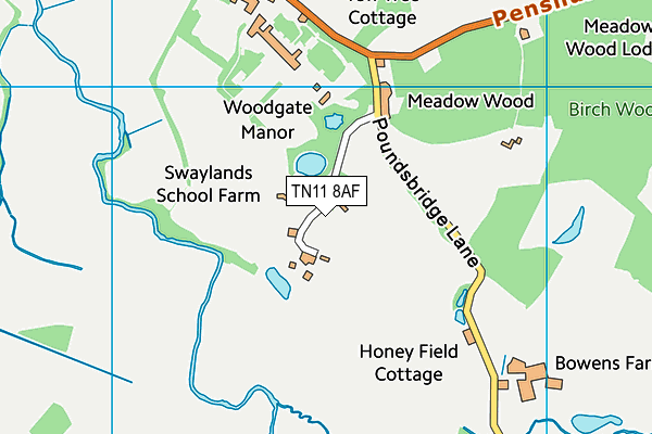 TN11 8AF map - OS VectorMap District (Ordnance Survey) TN11 8AF map - OS VectorMap District (Ordnance Survey)
