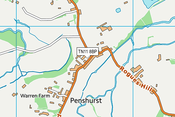 TN11 8BP map - OS VectorMap District (Ordnance Survey)
