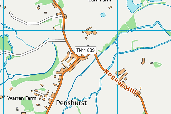 TN11 8BS map - OS VectorMap District (Ordnance Survey) TN11 8BS map - OS VectorMap District (Ordnance Survey)