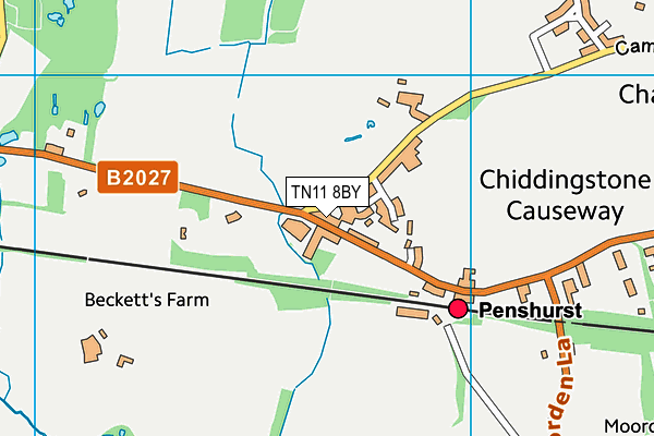 TN11 8BY map - OS VectorMap District (Ordnance Survey) TN11 8BY map - OS VectorMap District (Ordnance Survey)