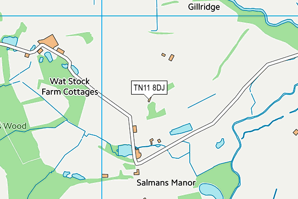 TN11 8DJ map - OS VectorMap District (Ordnance Survey) TN11 8DJ map - OS VectorMap District (Ordnance Survey)