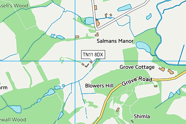 TN11 8DX map - OS VectorMap District (Ordnance Survey) TN11 8DX map - OS VectorMap District (Ordnance Survey)