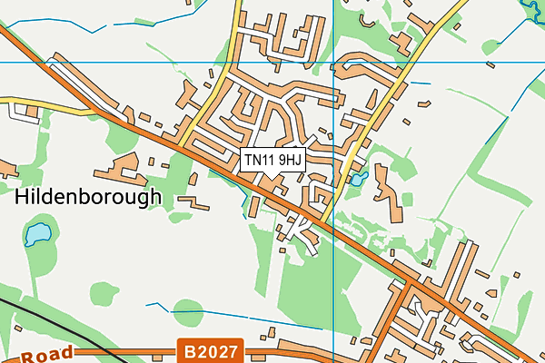 TN11 9HJ map - OS VectorMap District (Ordnance Survey) TN11 9HJ map - OS VectorMap District (Ordnance Survey)