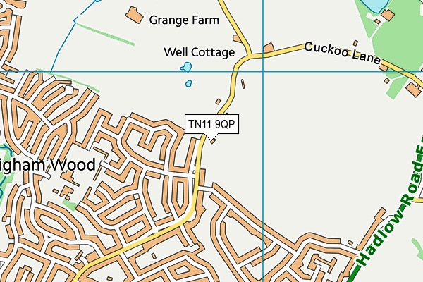 TN11 9QP map - OS VectorMap District (Ordnance Survey) TN11 9QP map - OS VectorMap District (Ordnance Survey)